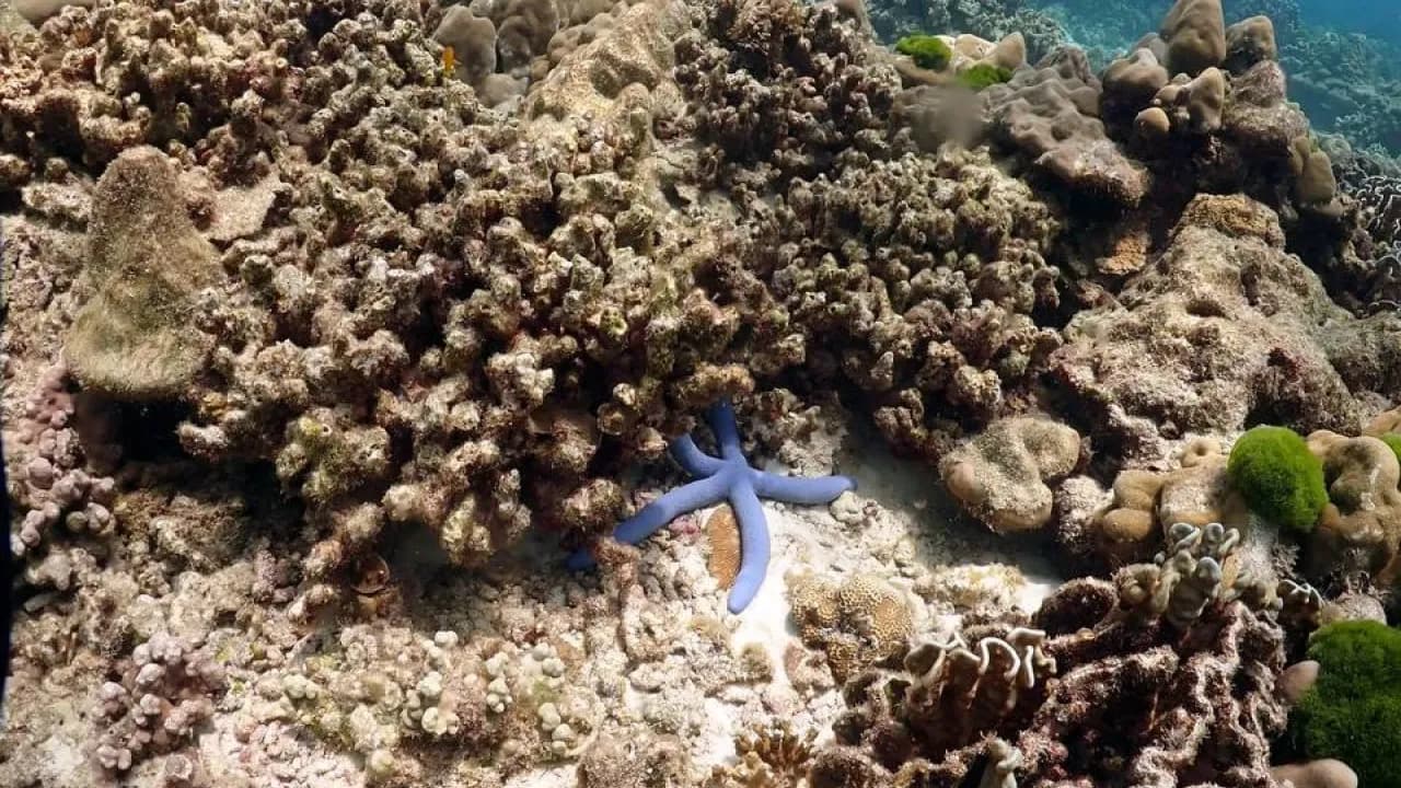 Изображение услуги5