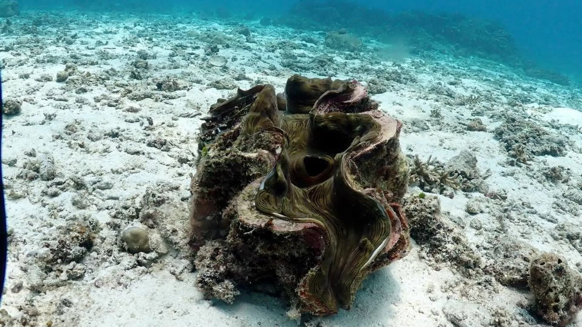 Изображение услуги8