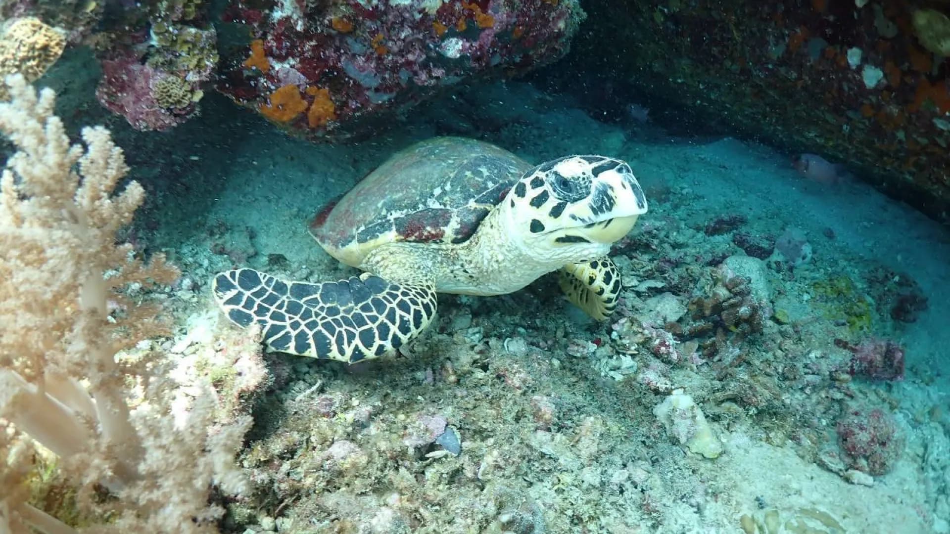 Изображение услуги9