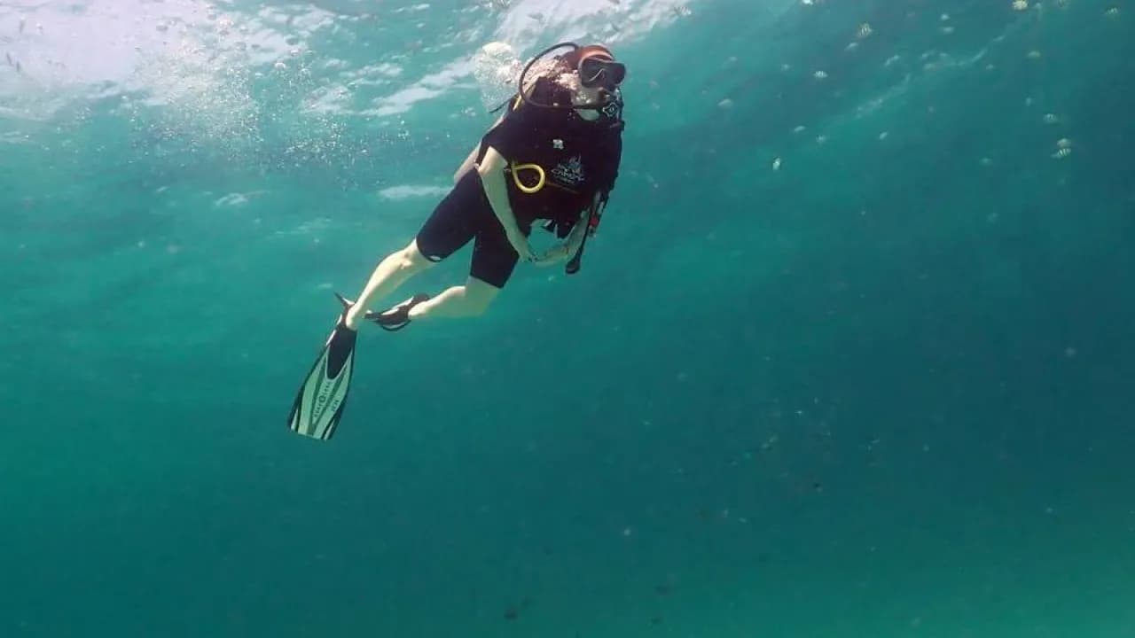 Изображение услуги11