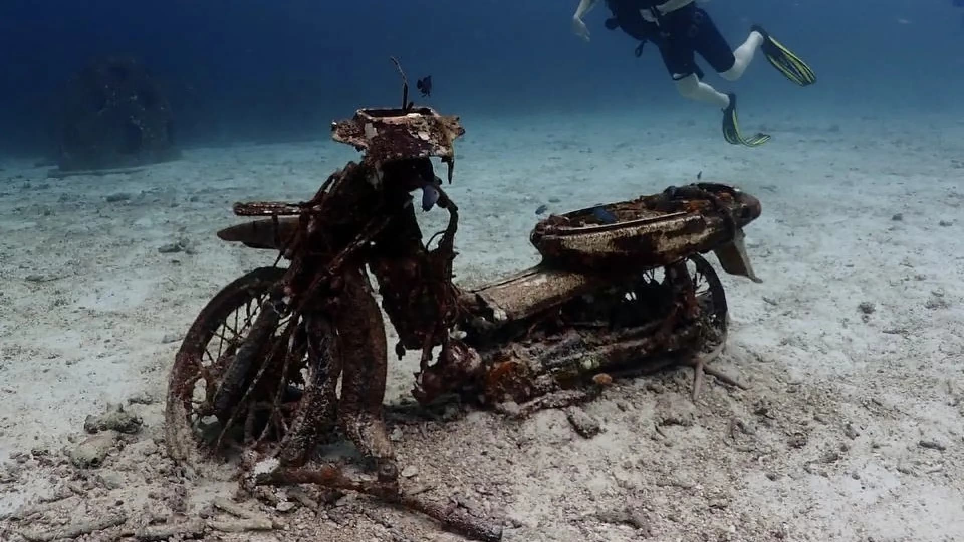 Изображение услуги0