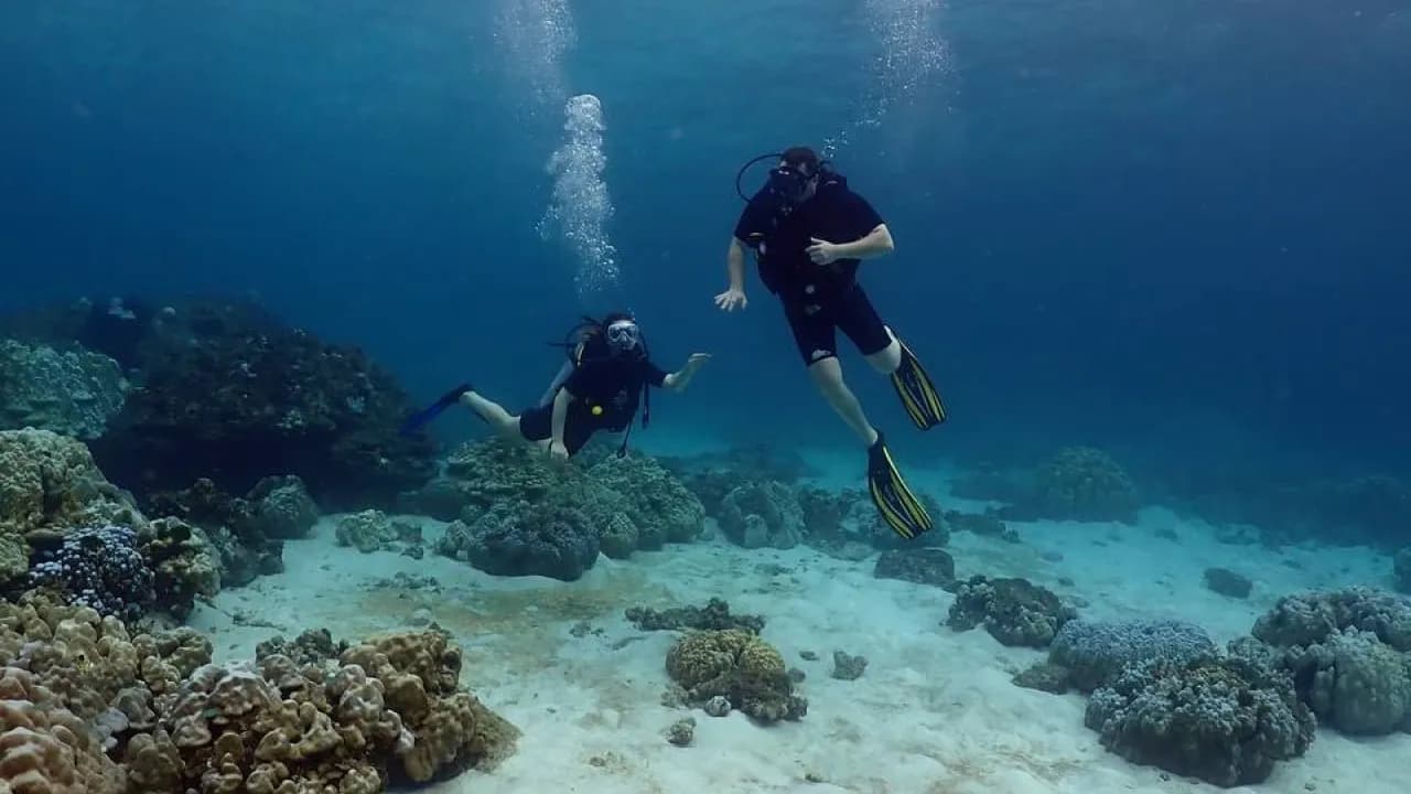 Изображение услуги4