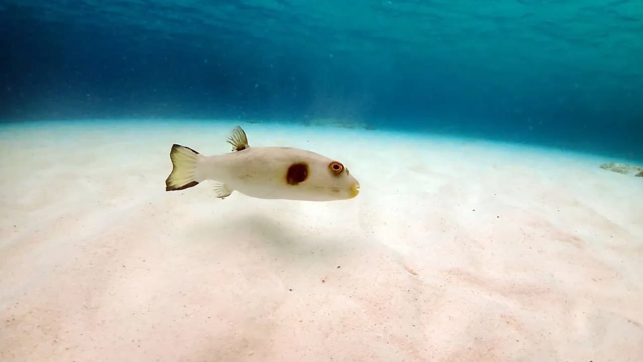 Изображение услуги9