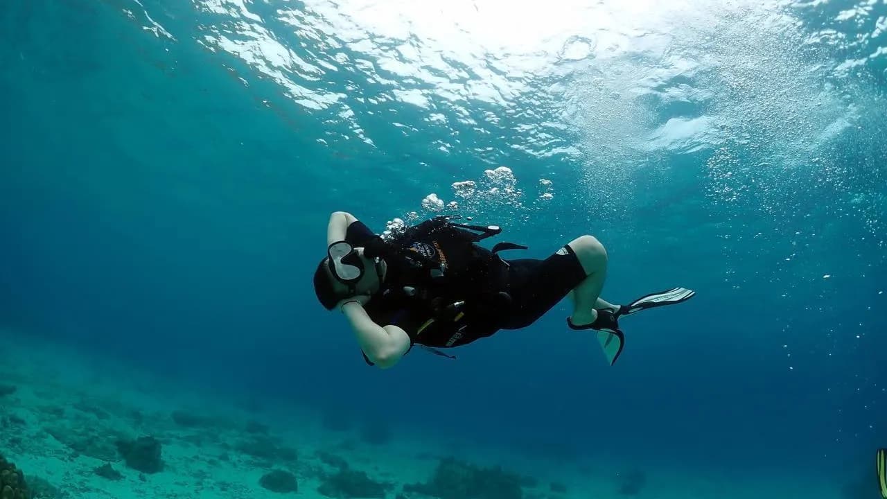 Изображение услуги6