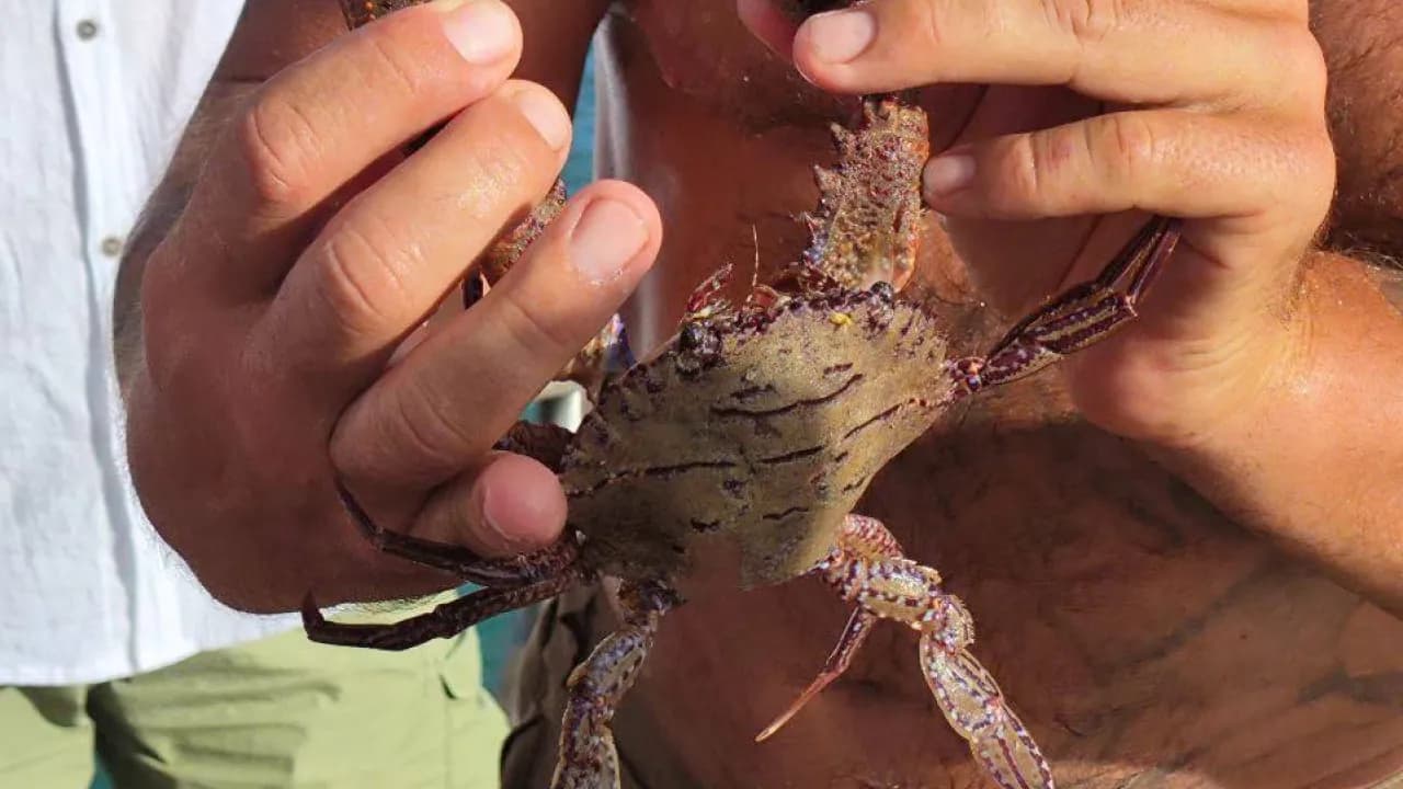 Изображение услуги7