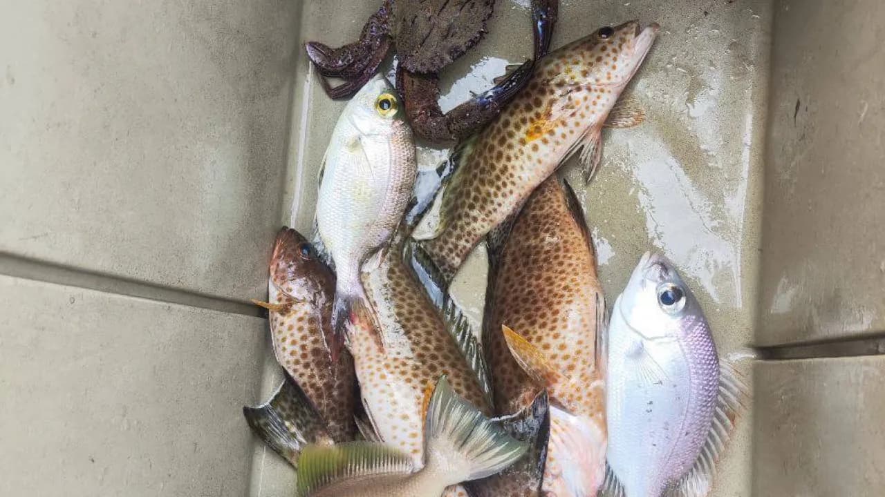 Изображение услуги8