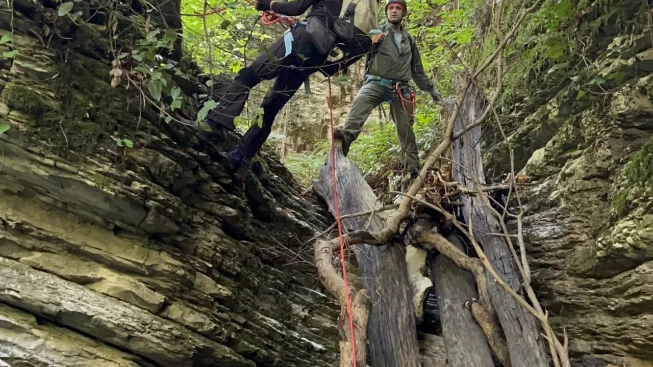 Изображение услуги6