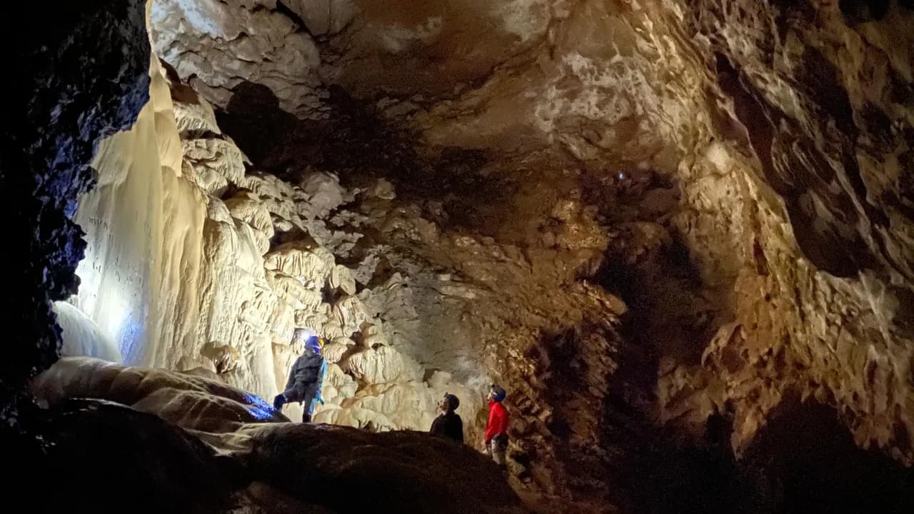 Изображение услуги4