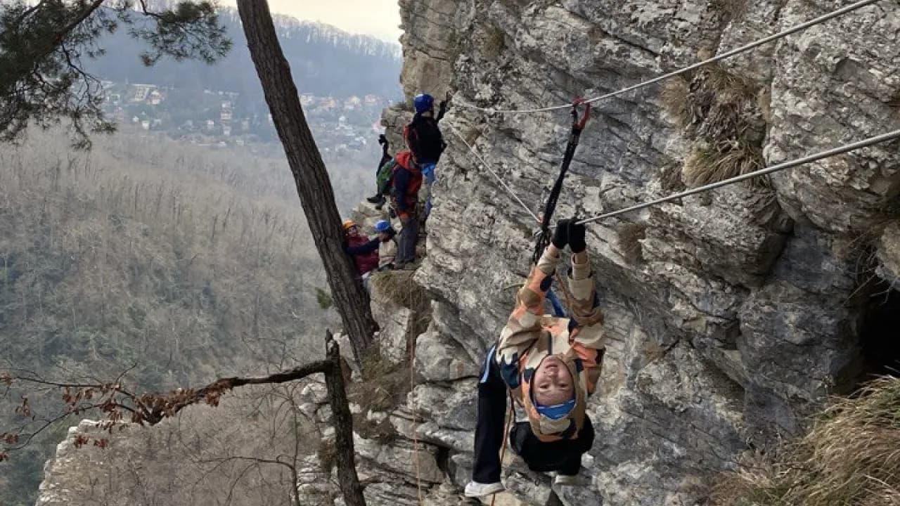 Изображение услуги1