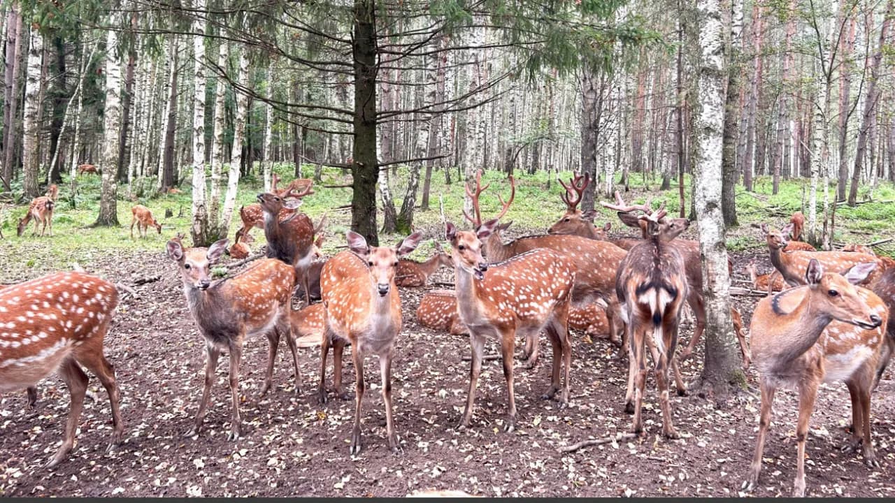 Изображение услуги1