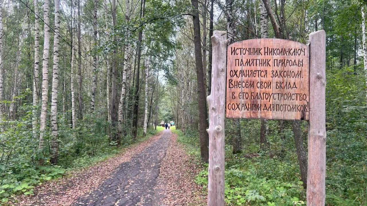 Изображение услуги3