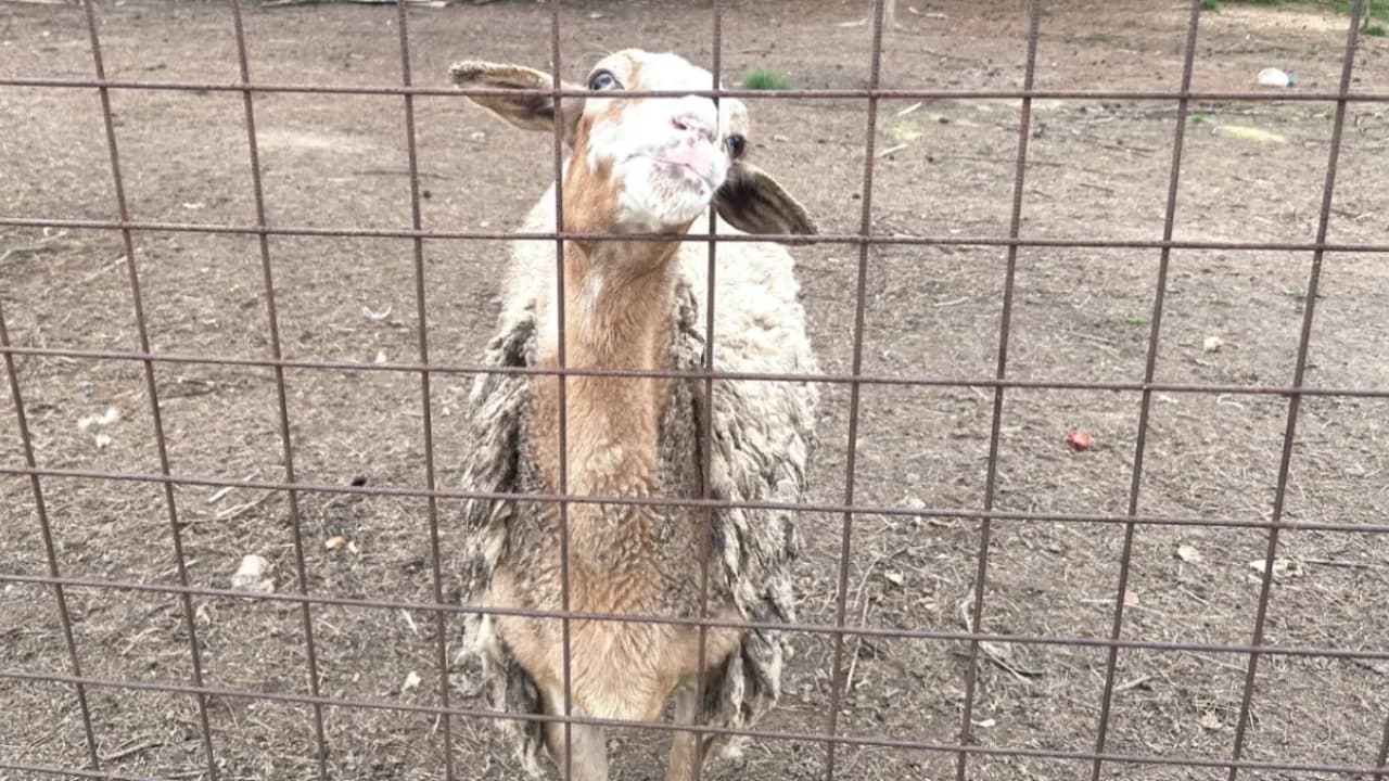 Изображение услуги7