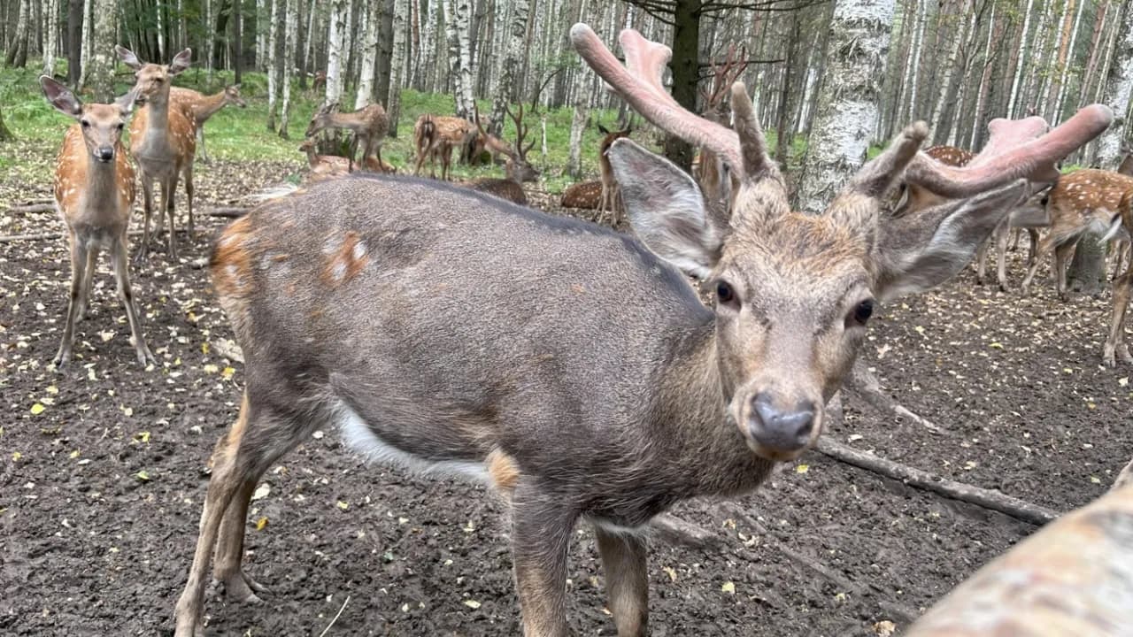 Изображение услуги9