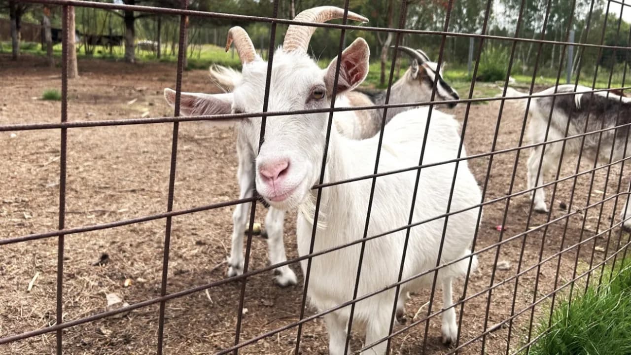 Изображение услуги10