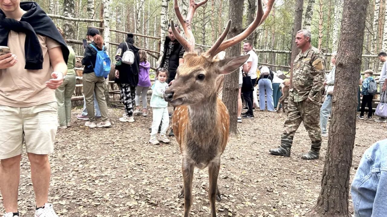 Изображение услуги11