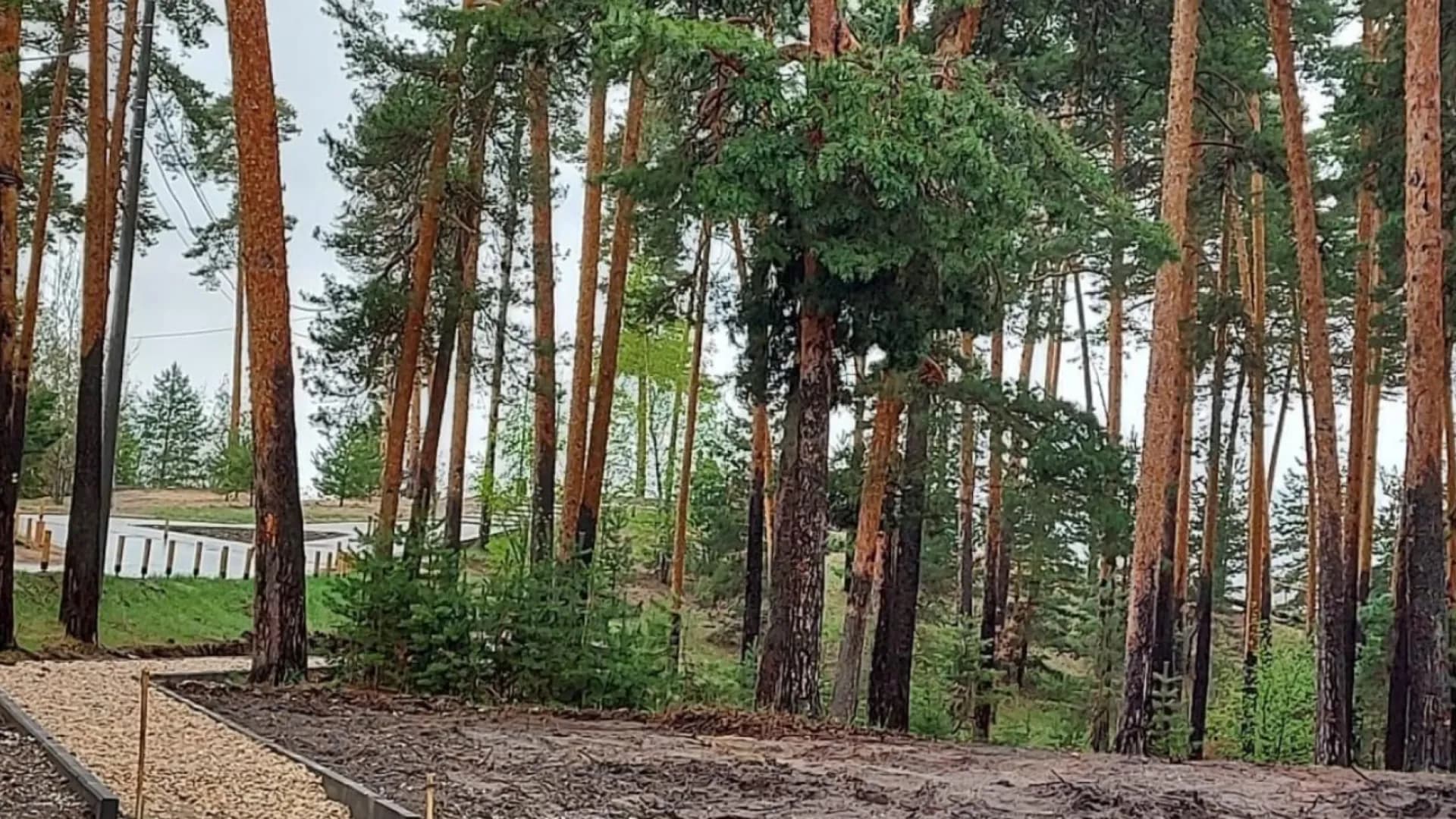 Изображение услуги8