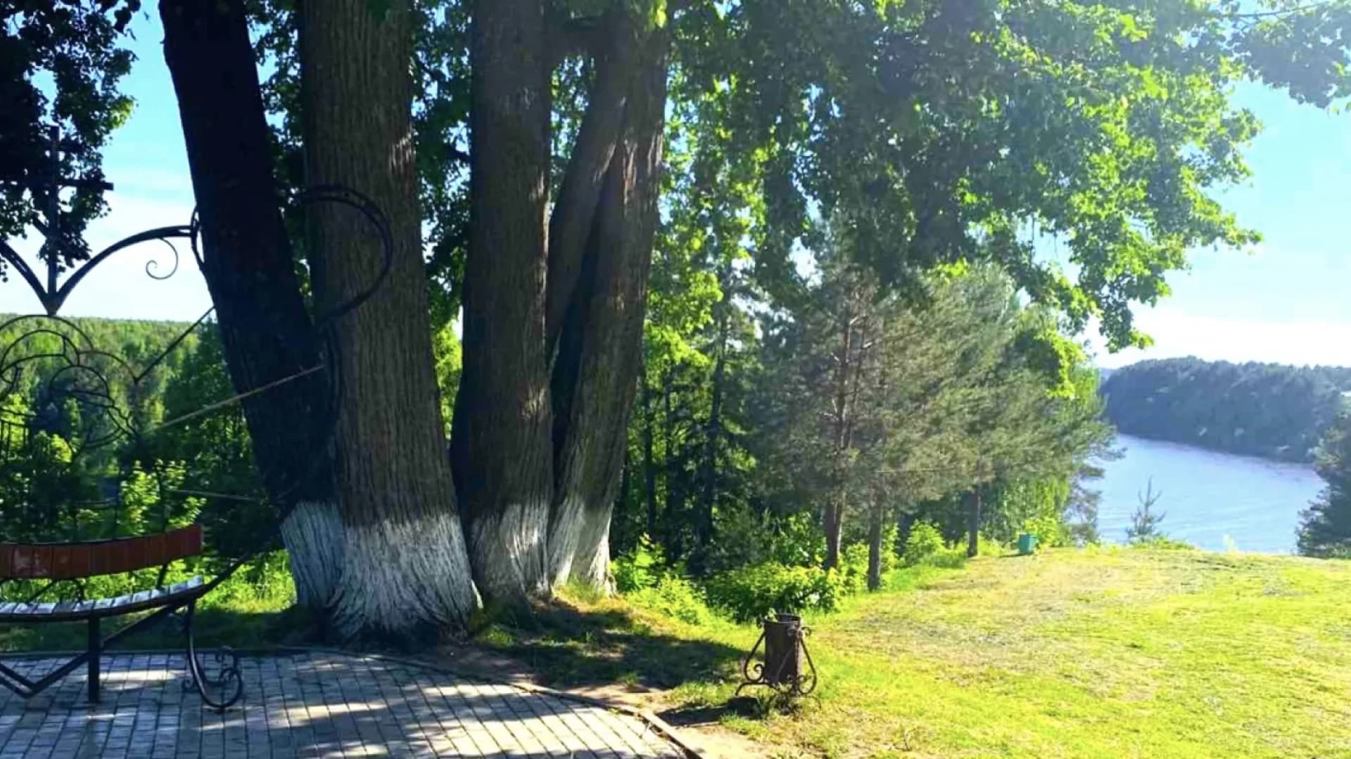 Изображение услуги1