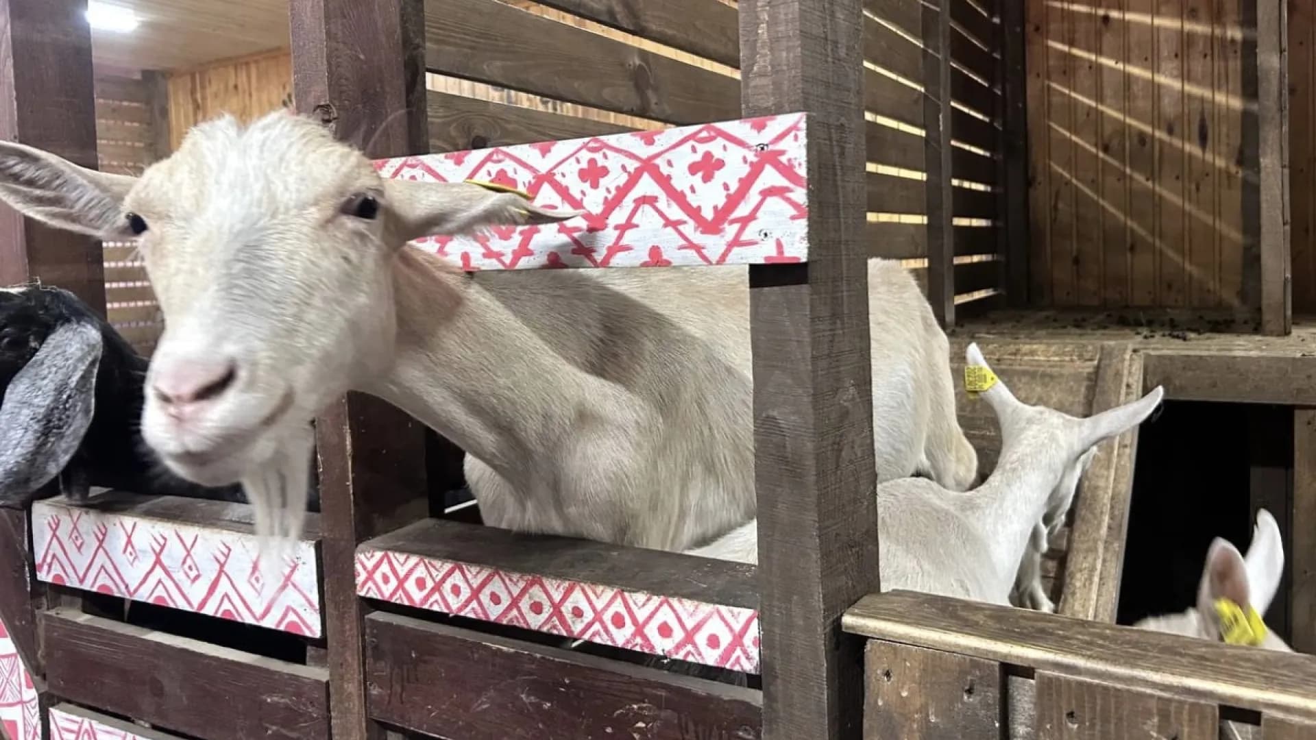 Изображение услуги3