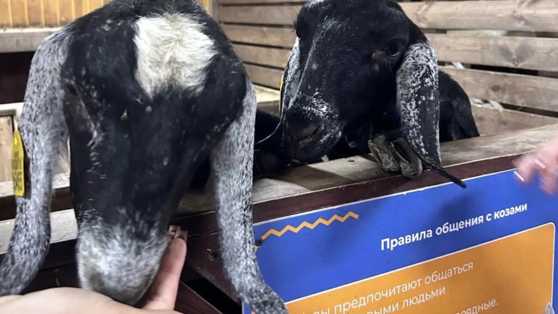 Изображение услуги5