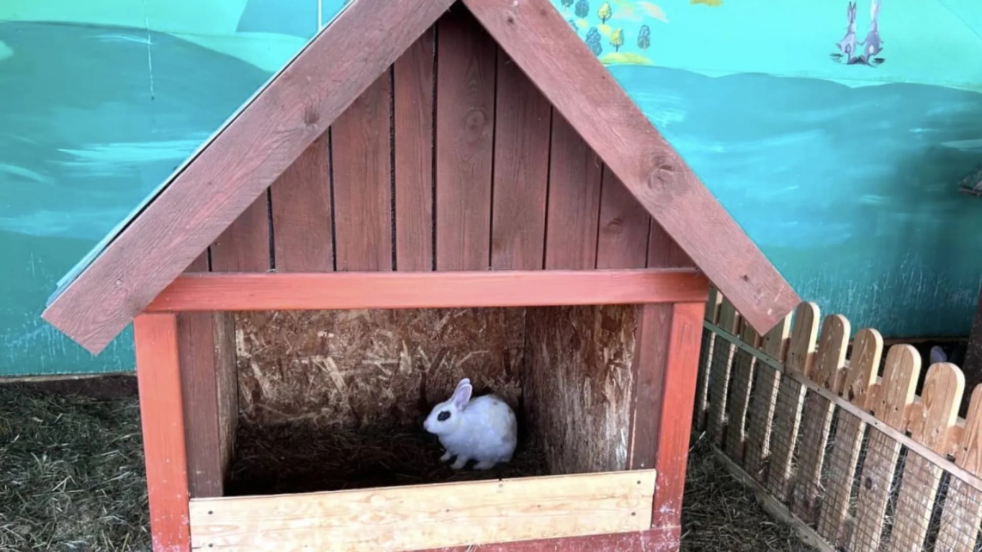 Изображение услуги8