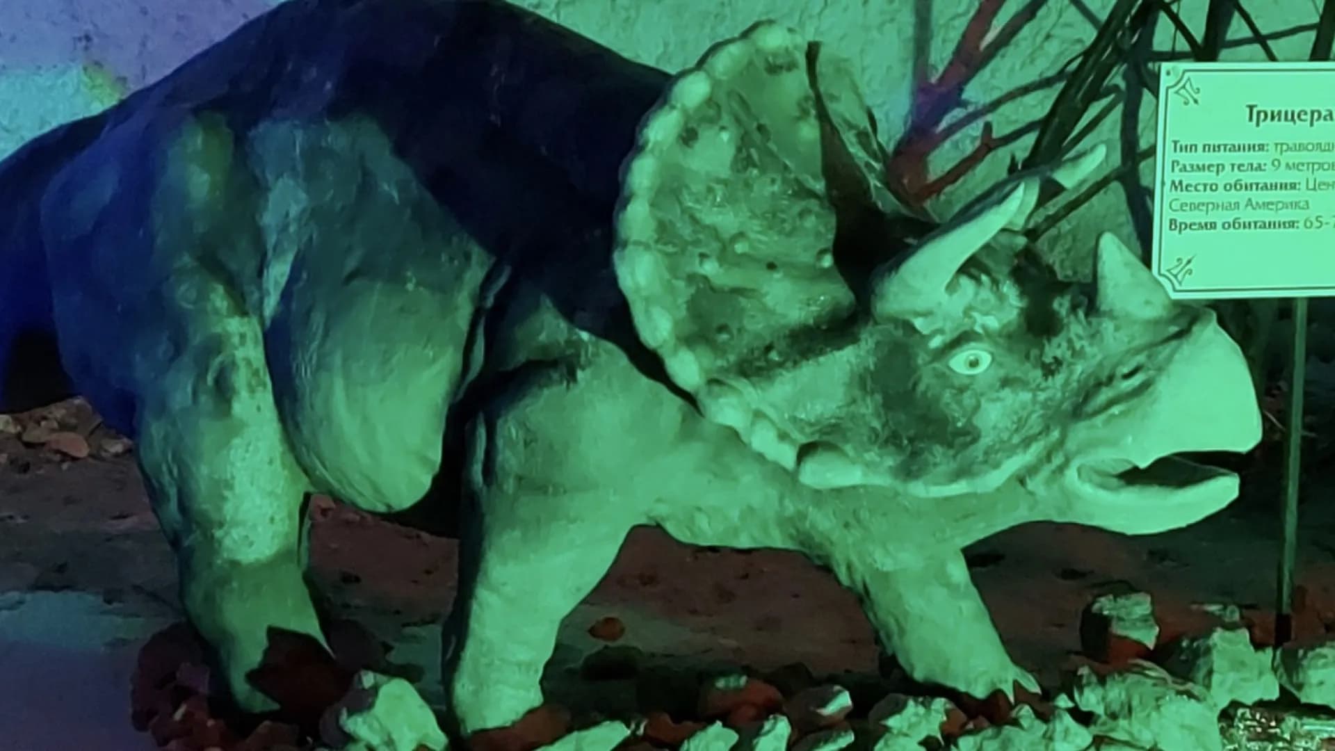 Изображение услуги2