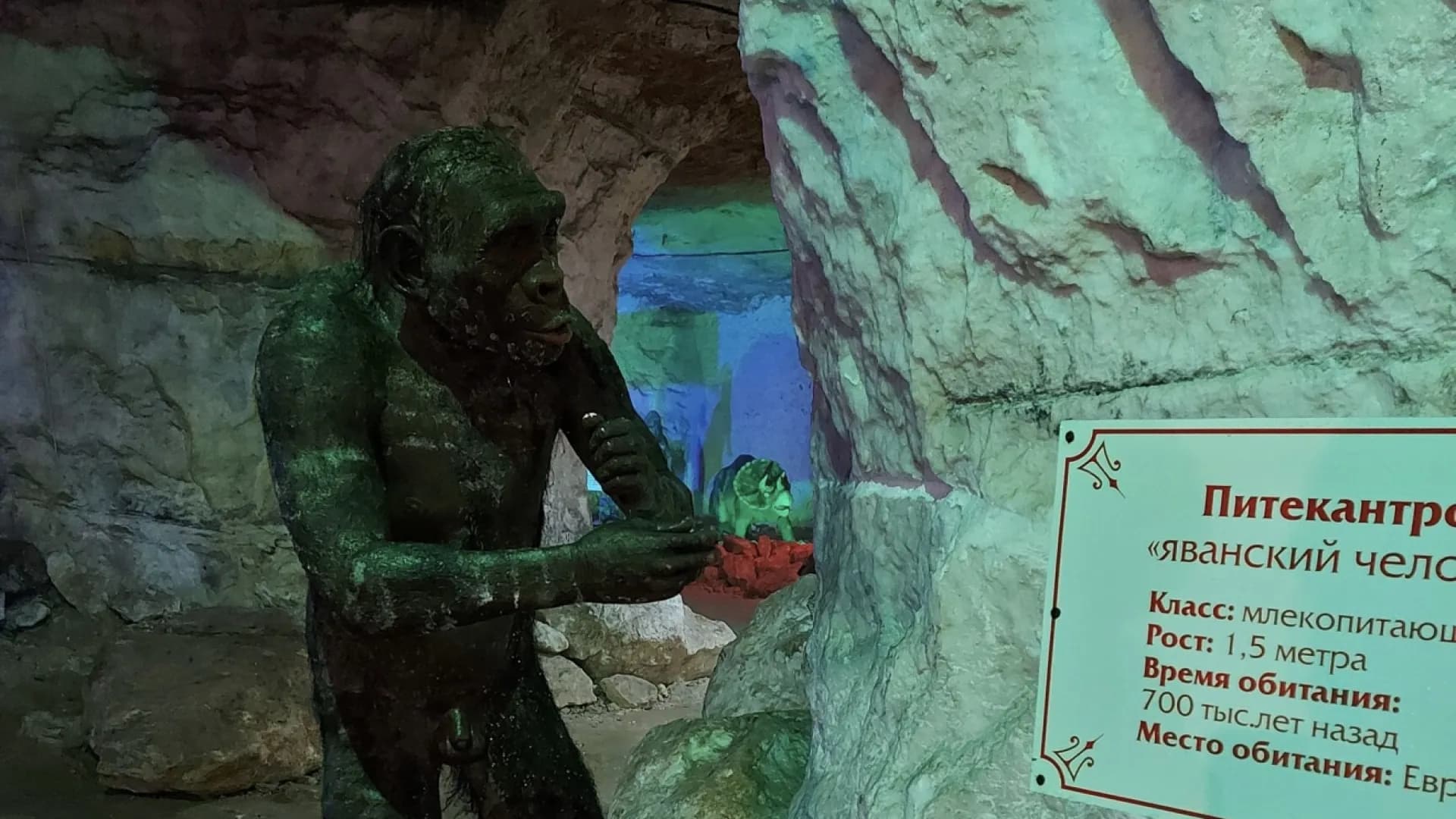 Изображение услуги3