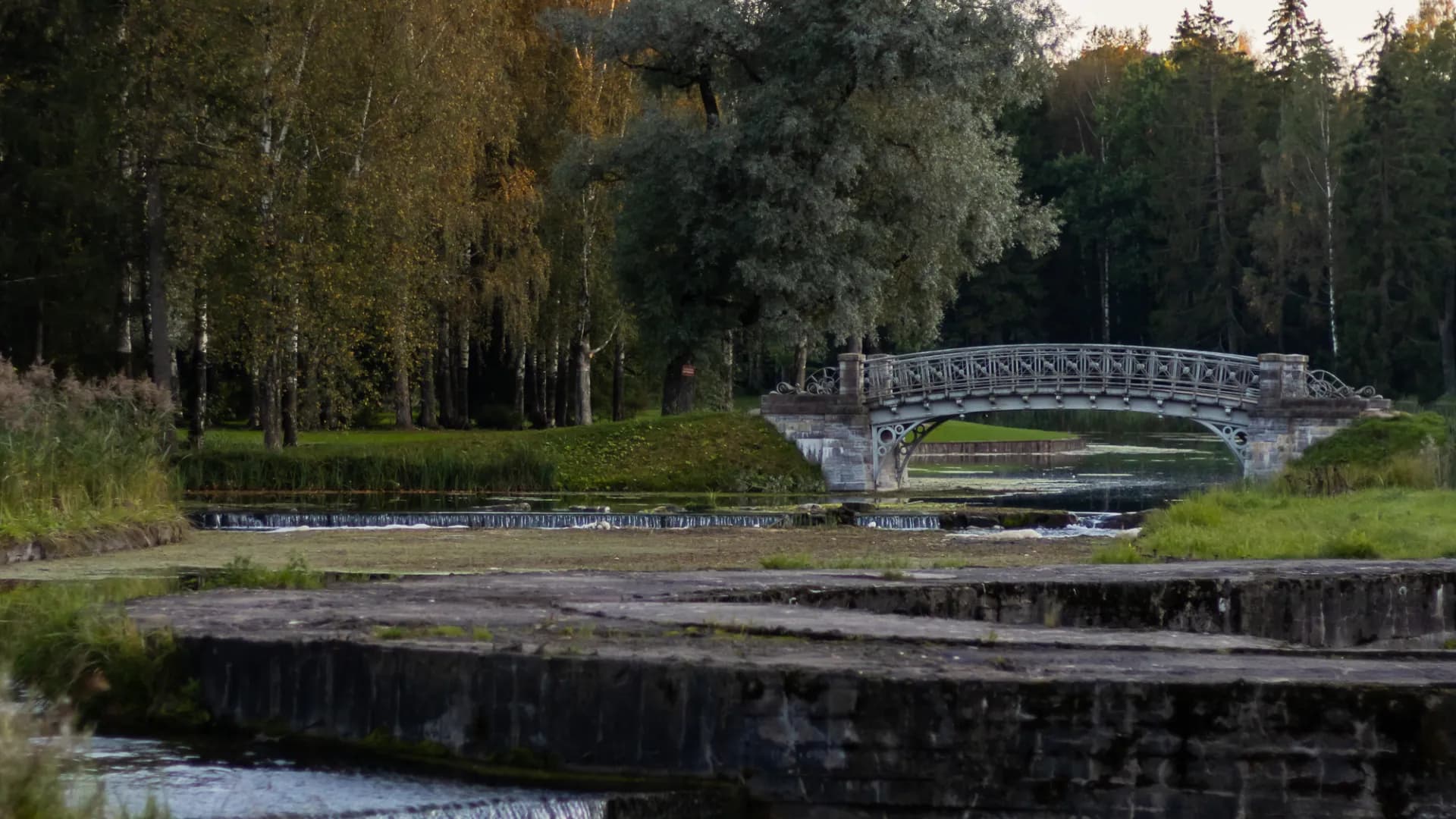 Изображение услуги8