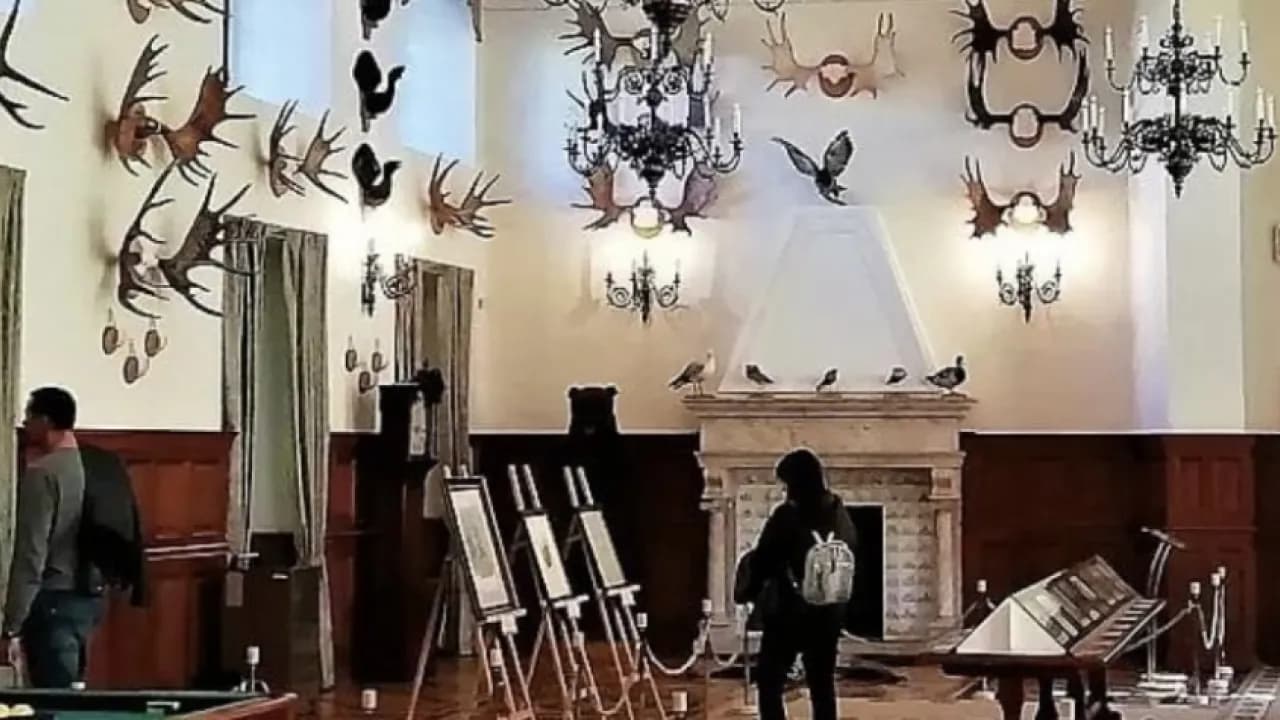 Изображение услуги7