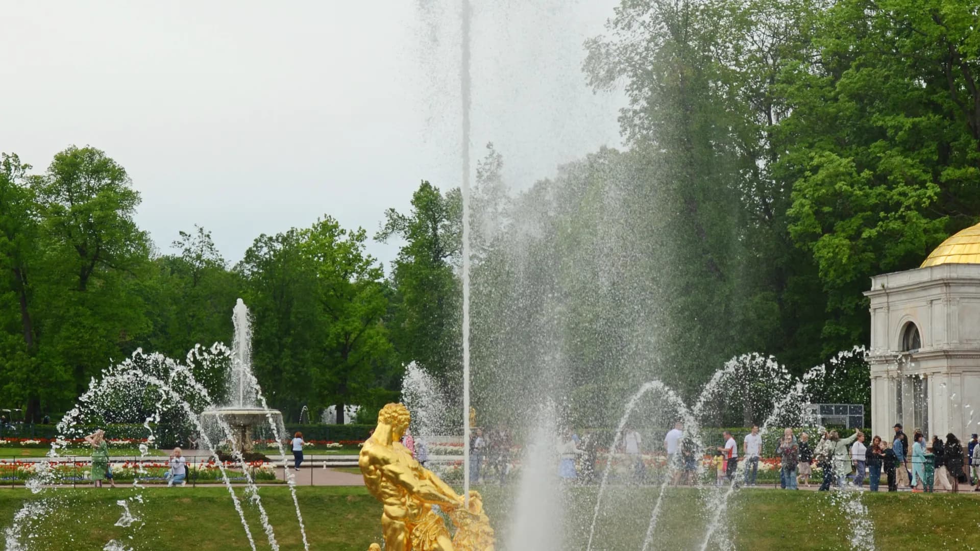 Изображение услуги4