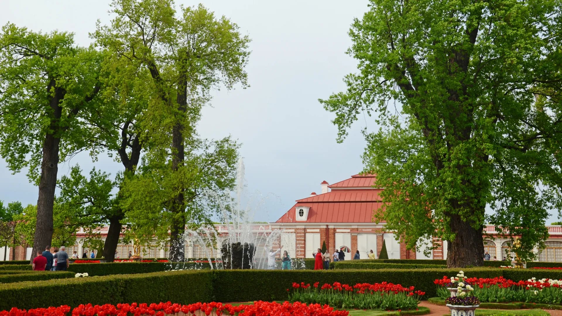 Изображение услуги6