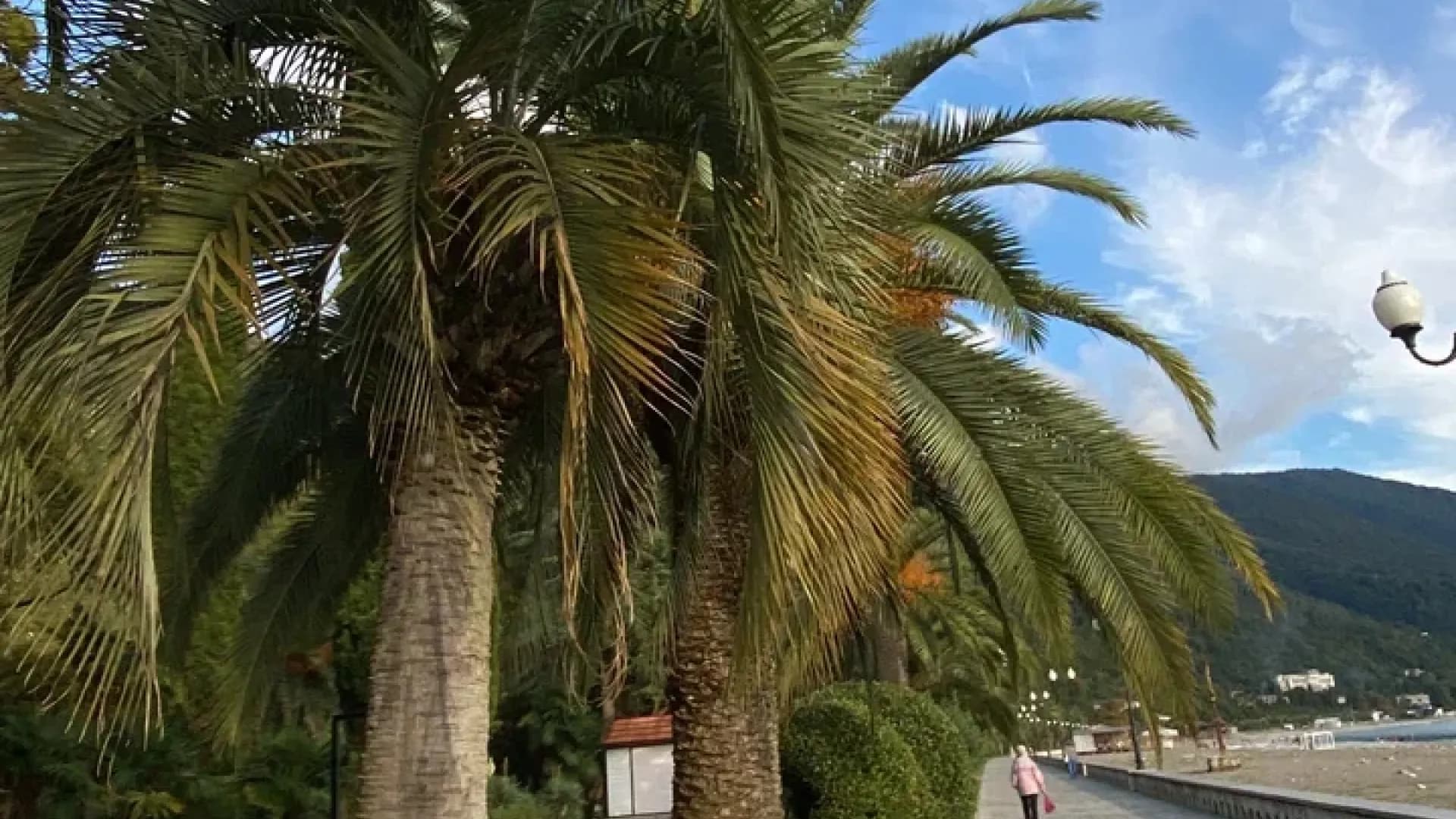 Изображение услуги4