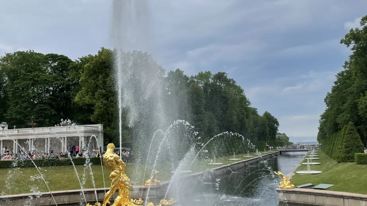 Изображение услуги5