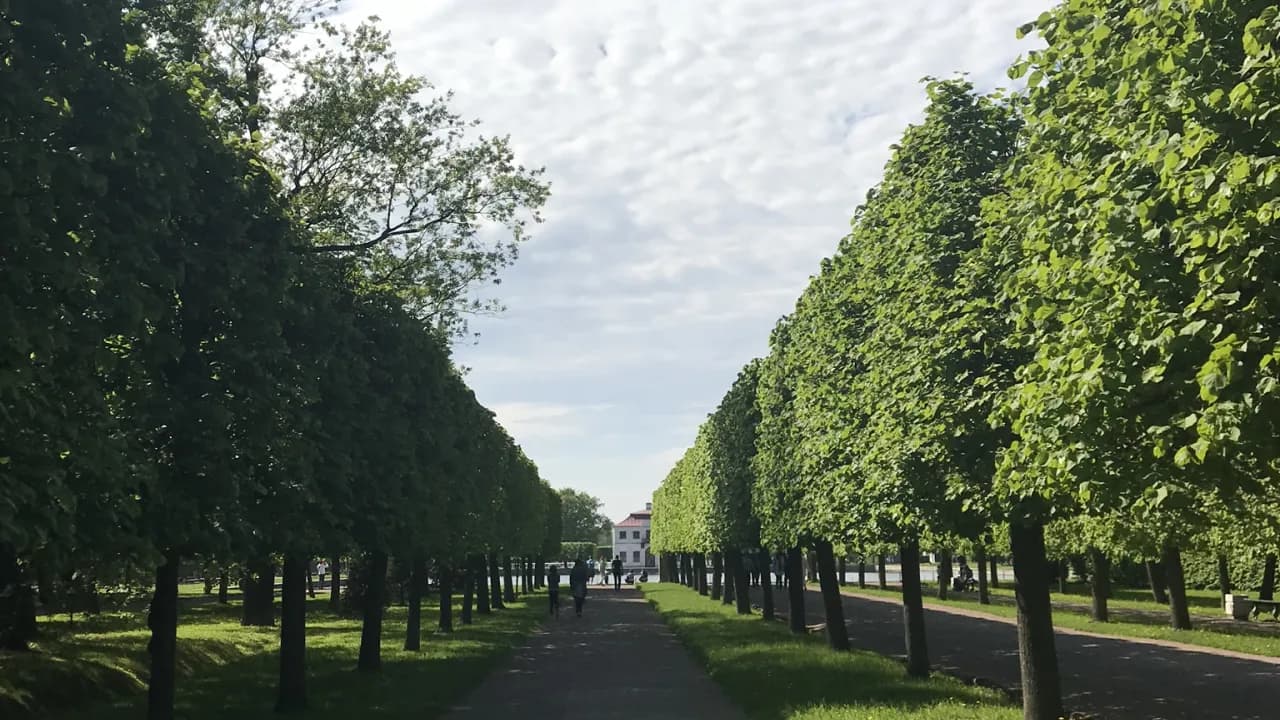 Изображение услуги6