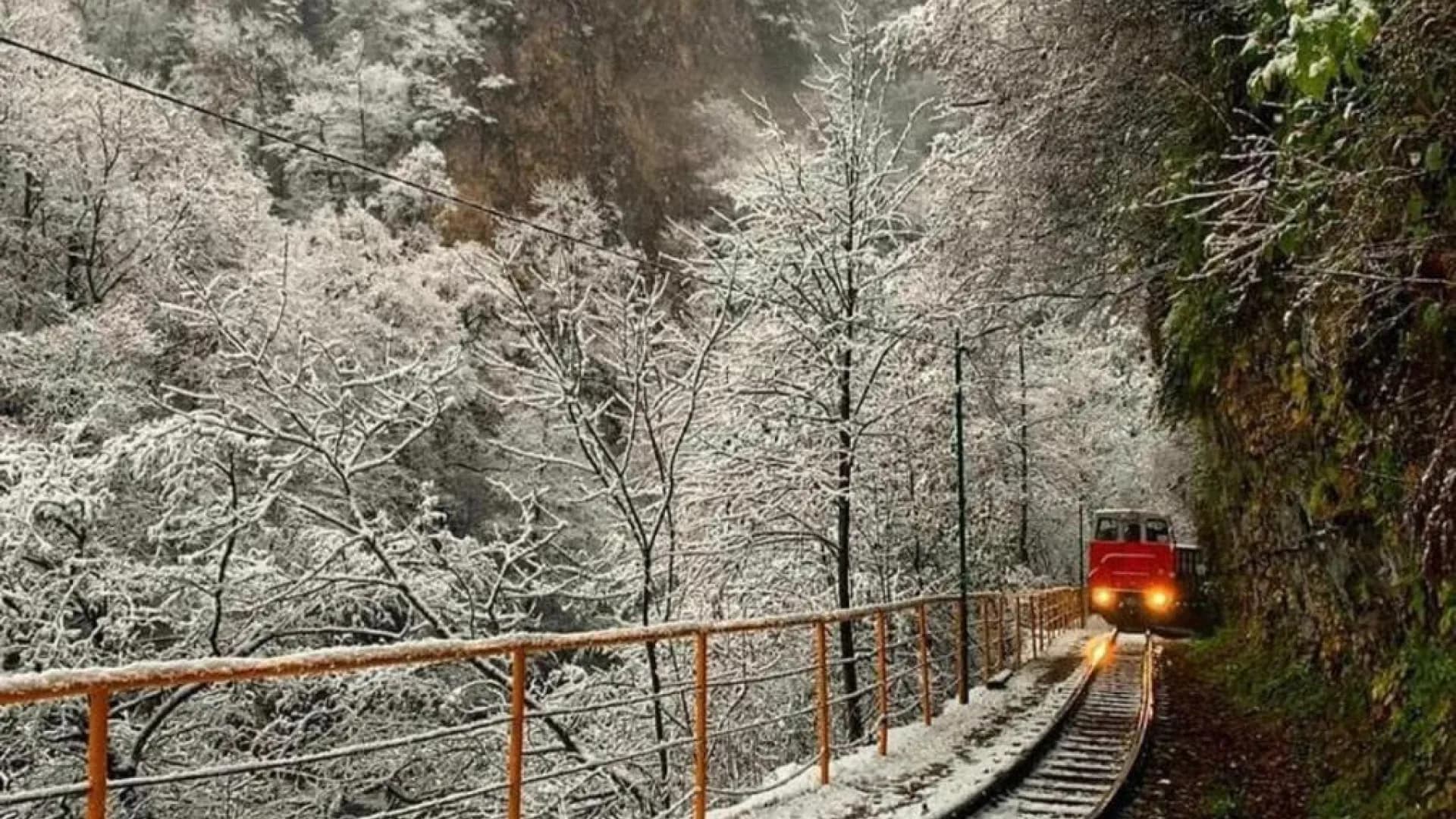 Изображение услуги2