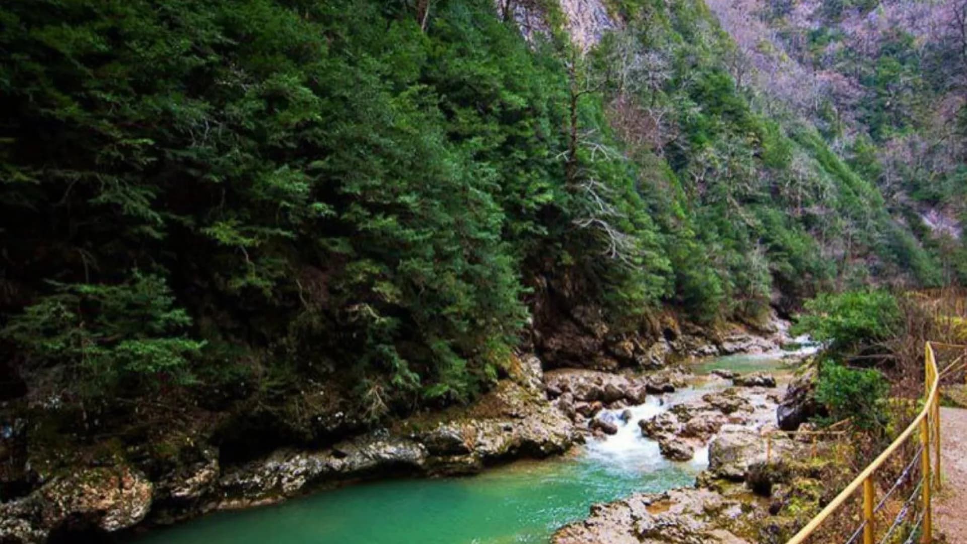 Изображение услуги4