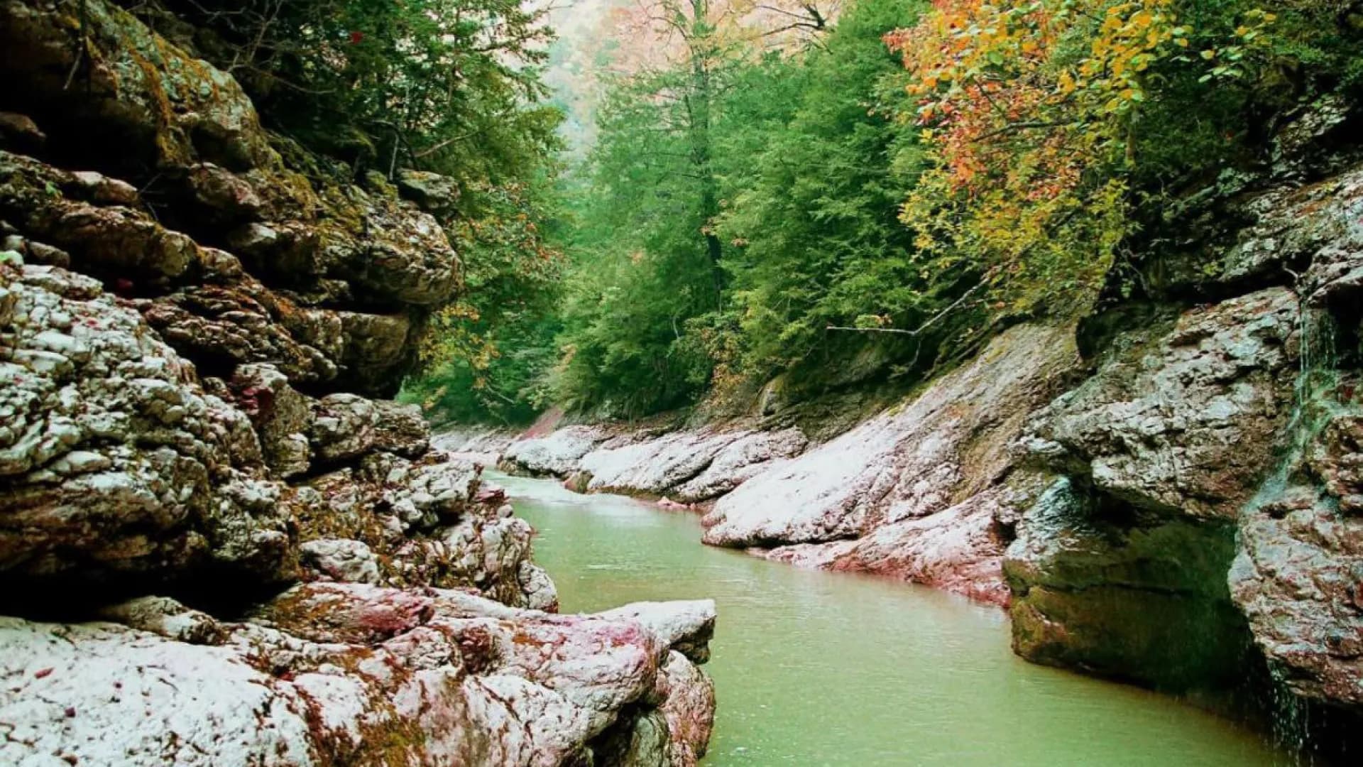 Изображение услуги6