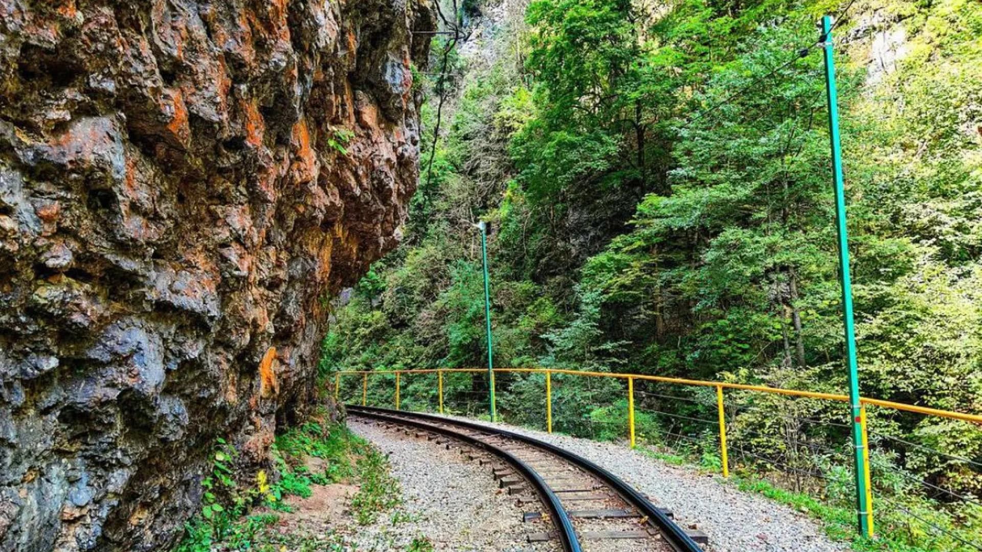 Изображение услуги7