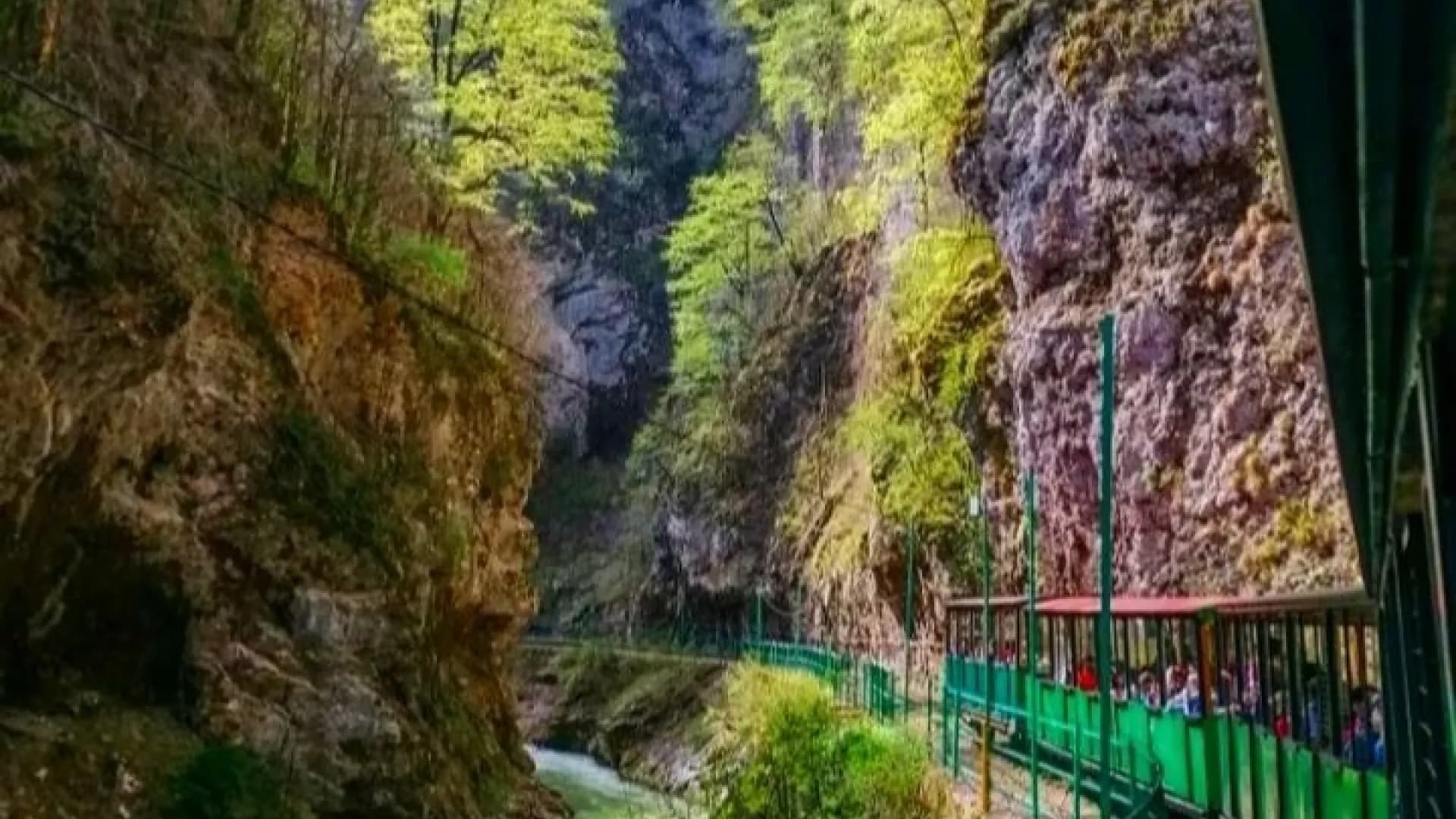 Изображение услуги8