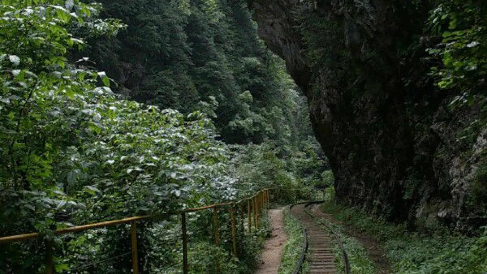 Изображение услуги9