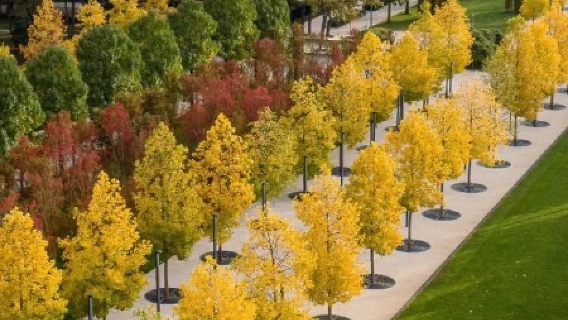 Экскурсия из Геленджика в Парк Галицкого + Парк Облаков + Горячий Ключ