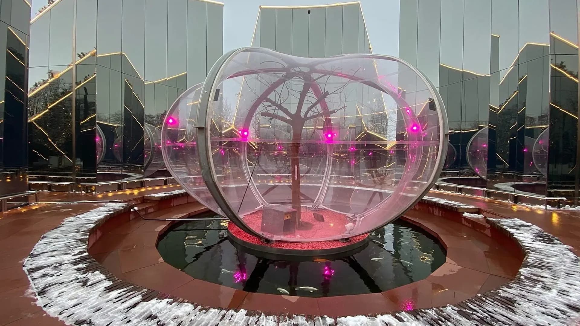 Изображение услуги5