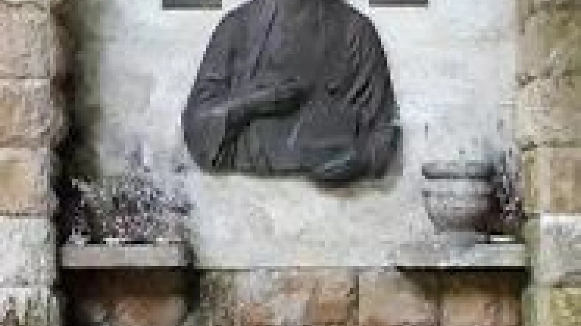 Изображение услуги6