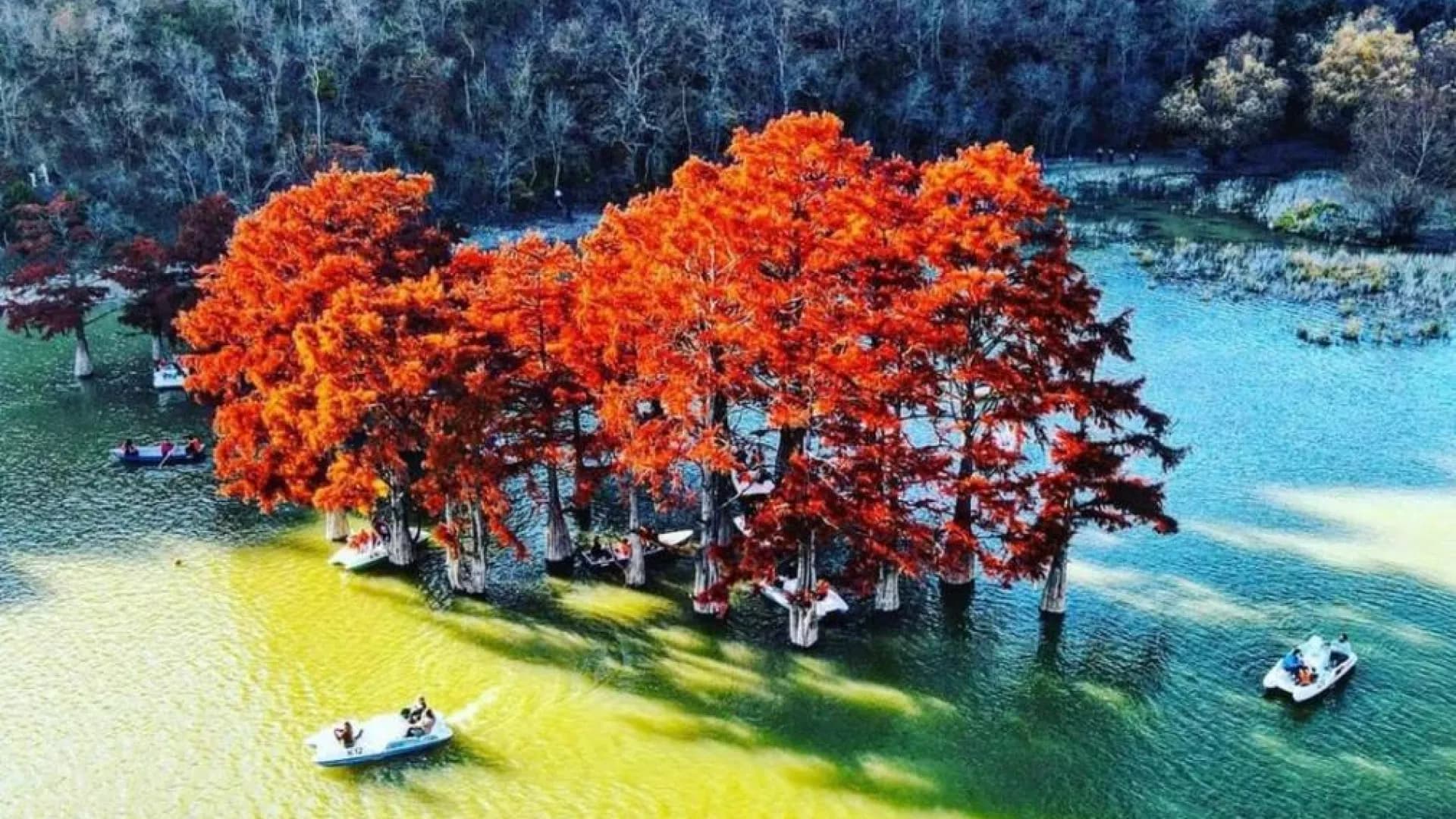 Изображение услуги3