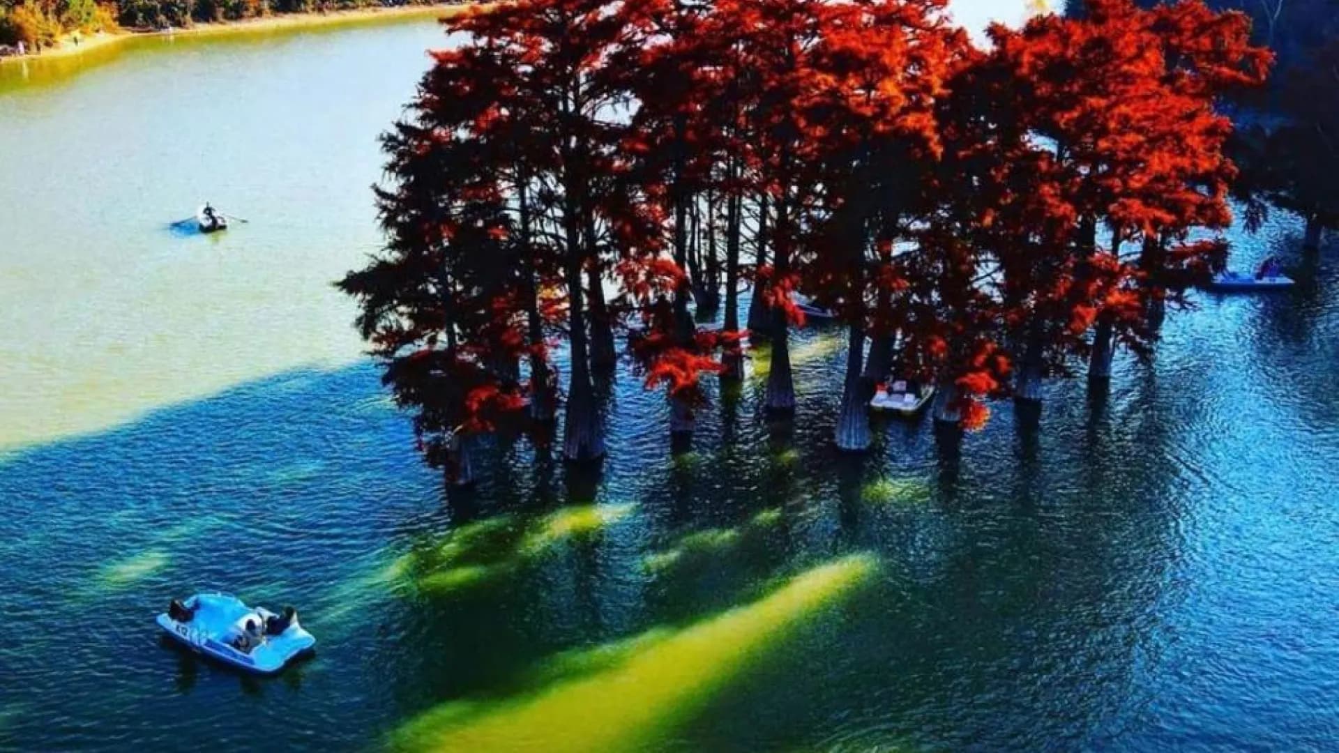 Изображение услуги7