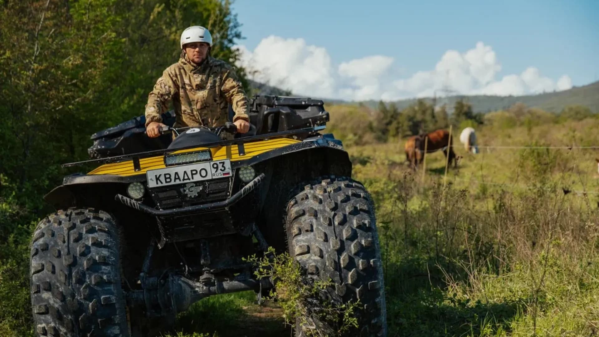 Изображение услуги0