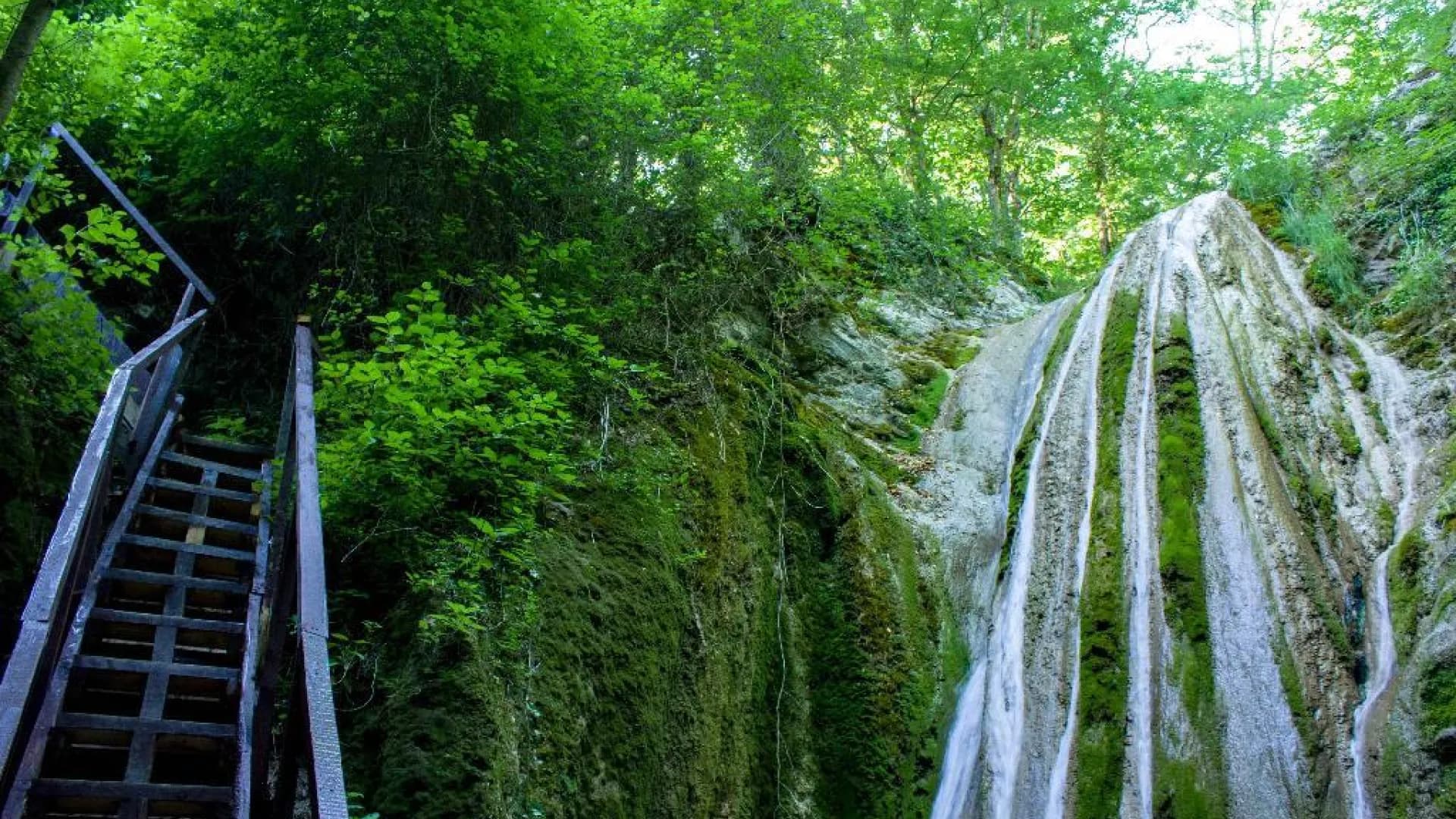 Изображение услуги0