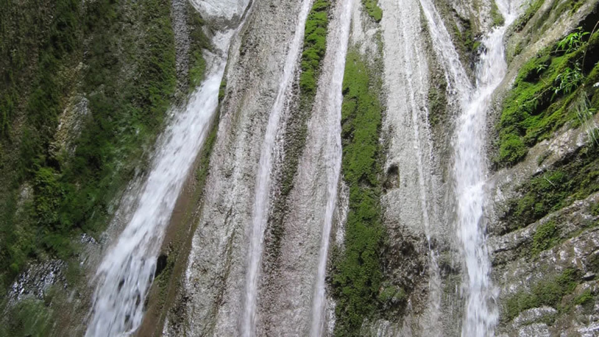 Изображение услуги2