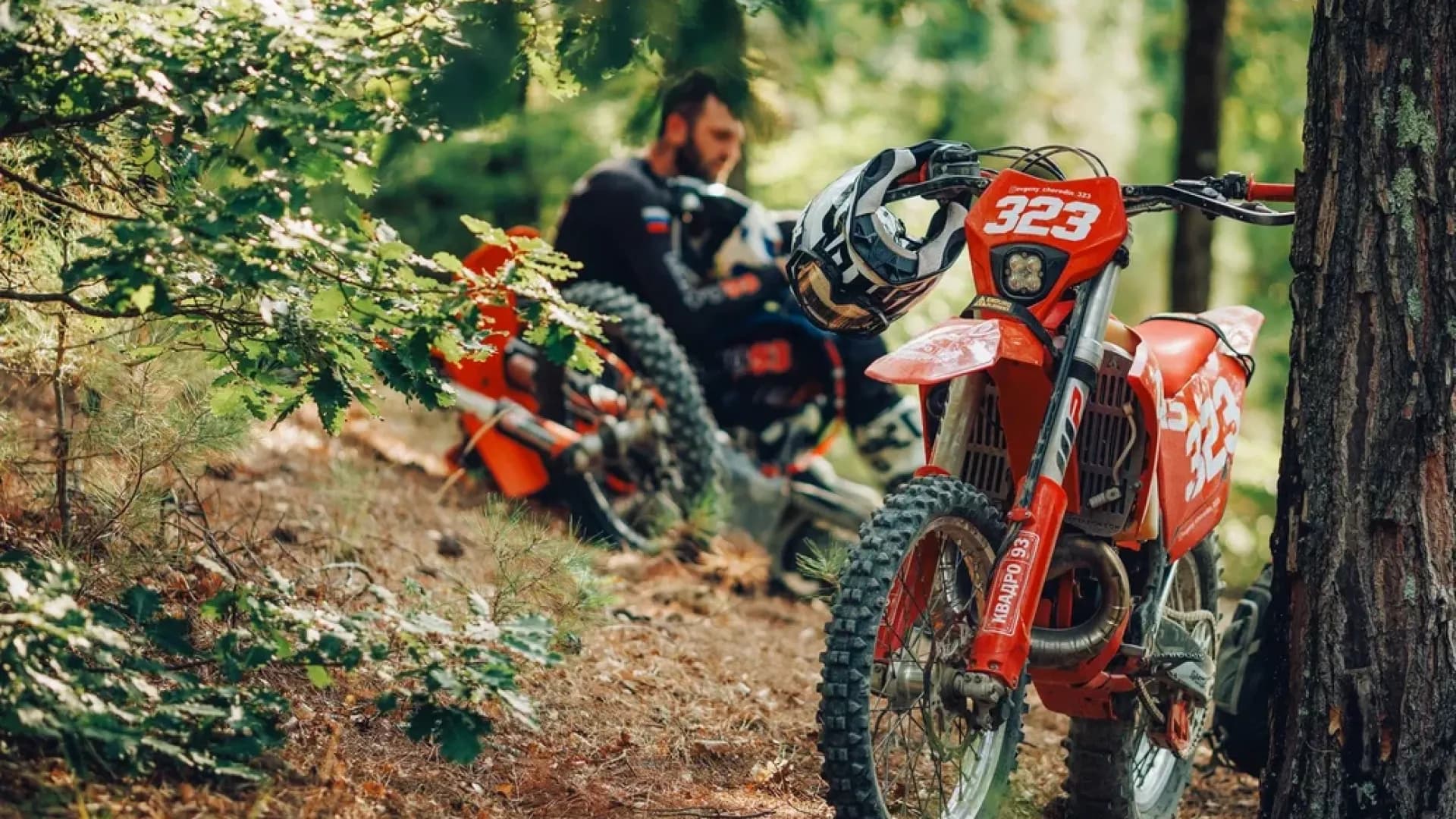 Изображение услуги1