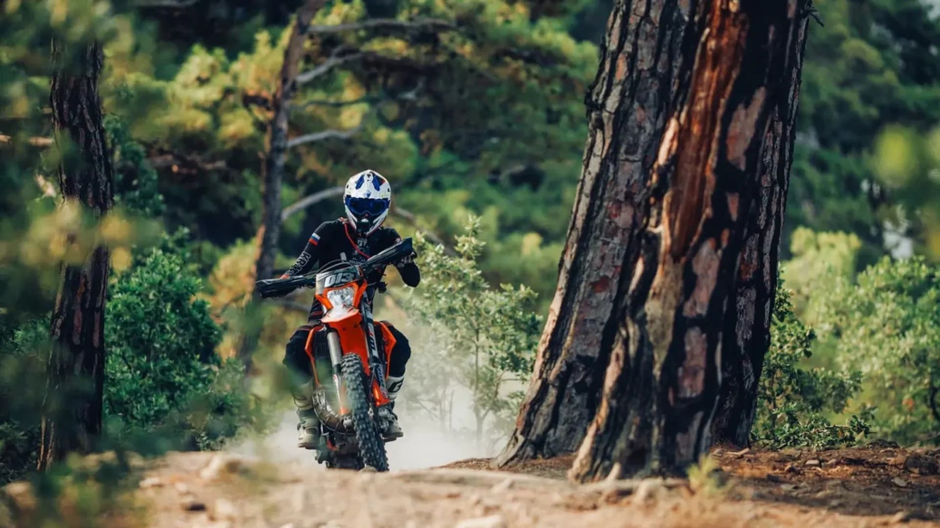 Изображение услуги2