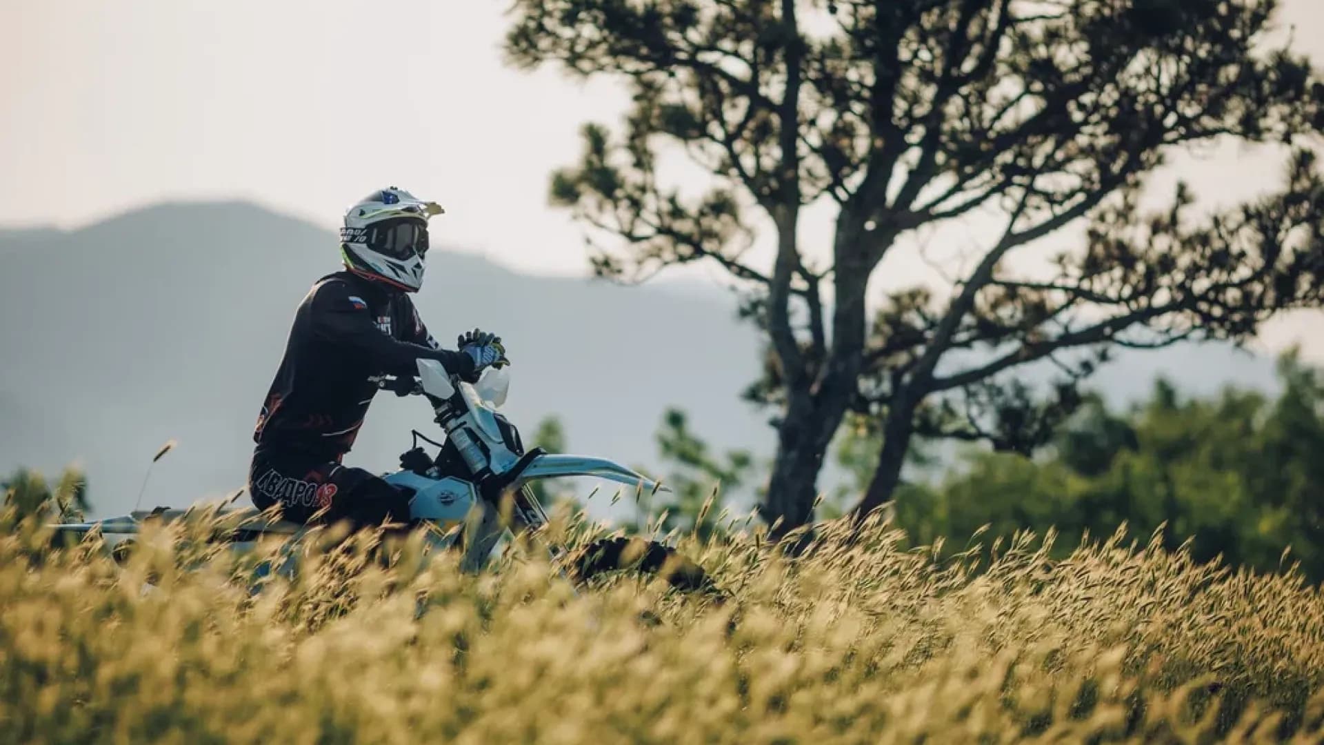 Изображение услуги10